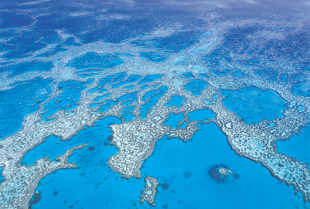 Australien: Great Barrier Reef - Hardy Reef