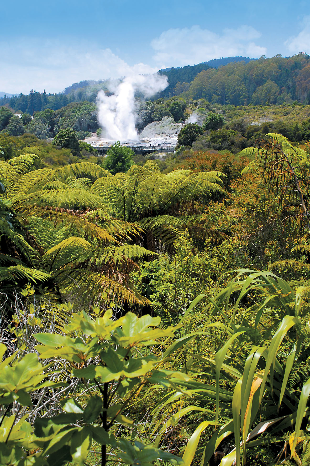 Neuseeland lockt mit blühenden Landschaften und gewaltigen Naturschauspielen.