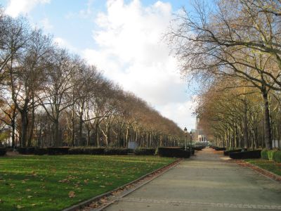 Park-Allee. Brüssel.