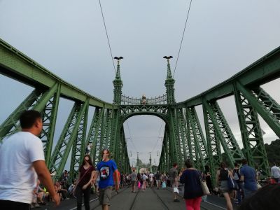 Die Freiheitsbrücke. Budapest.