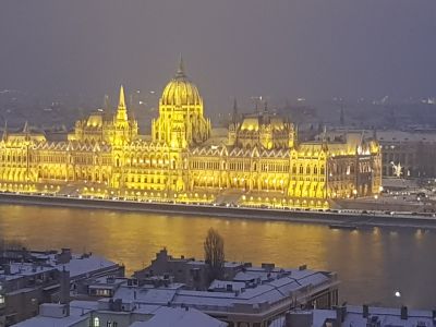 Blick auf das Parlament. Budapest.