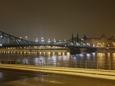 Blick auf die Freiheitsbrücke. Budapest.