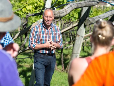 Grauvernatsch, Lagrein und Goldmuskateller sind nur einige der typischen Südtiroler Trauben, die „Roter Hahn“-Weinbauer Markus Seppi vom Oberpreyhof in Kaltern anbaut und seinen Gästen gern im Rahmen einer Führung näherbringt.