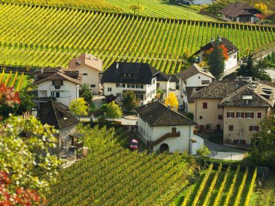 Apfelplantagen bestimmen in weiten Teilen Südtirols das Landschaftsbild. Auf zahlreichen Höfen der Marke „Roter Hahn“ kann man die Früchte direkt im Bauerngarten pflücken.
