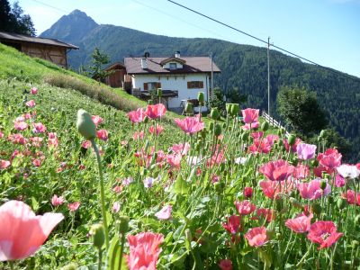 Der „Boarbichlhof“ liegt auf über 1.200 Metern Höhe direkt im Hirzer-Wandergebiet.