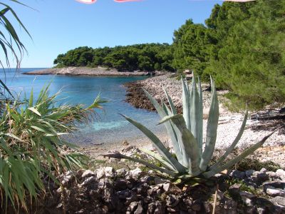 Buchten der Insel Lošinj.