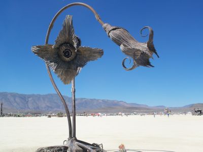 Ein besonderes Festival findet mitten der Wüste von Nevada statt: Das Burning Man Festival.