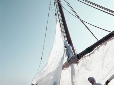 Ein Dhow (Deutsch: Dau) beim Segel hissen.