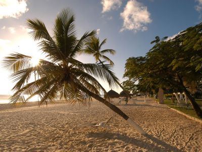 Die malerischen und gepflegten Strände auf Aruba laden zu einem Traumurlaub.