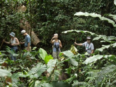 Dschungel Ausflug (Jungle adventure) auf Trinidad und Tobago.