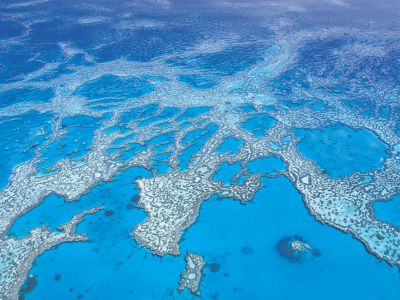 Australien: Great Barrier Reef - Hardy Reef