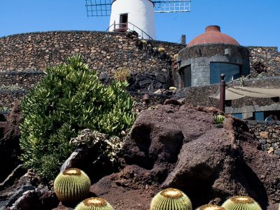 Der „Jardín de Cactus“ war das letzte Werk Manriques auf Lanzarote.