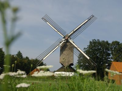 Mühle Kaasstrooimolen in Heist op den Berg.