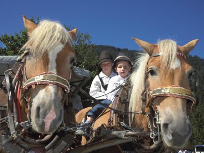 Kutschfahrten durchs Tannheimer Tal werden sowohl tagsüber als auch, für Romantiker, in der Nacht angeboten.