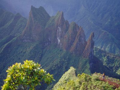 Landschaft und Berge auf Thaiti.