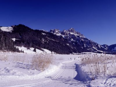 Angelegte Loipe auf dem zugefrorenen Haldensee / Tannheimer Tal.