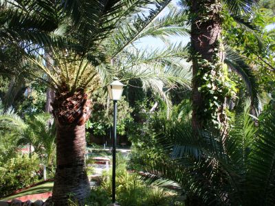 Die großzügige Minigolfanlage vom Hotel Bon Sol zwischen Palmen.