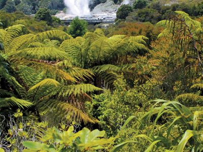 Neuseeland lockt mit blühenden Landschaften und gewaltigen Naturschauspielen.