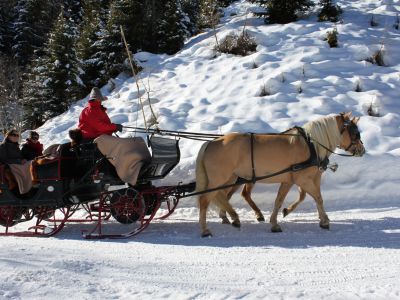 Pferde-Schlittenfahrt durchs Winterwunderland rund um Schenna.