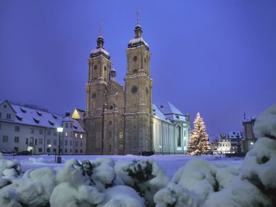 Der große Weihnachtsbaum im St.Galler Stiftsbezirk mit der Stiftskirche St. Gallen.