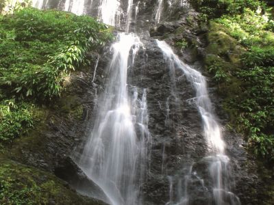 Im Distrikt Brokopondo, am nordwestlichen Ufer des Blommesteinsees, liegt der Brownsberg-Naturpark von Suriname.