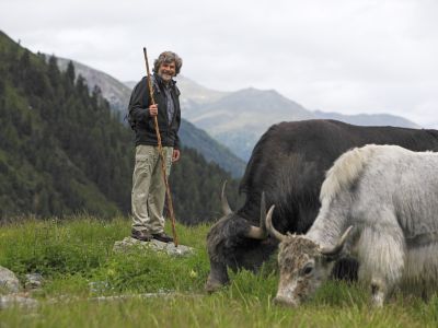 Reinhold Messner mit seinen Yaks.