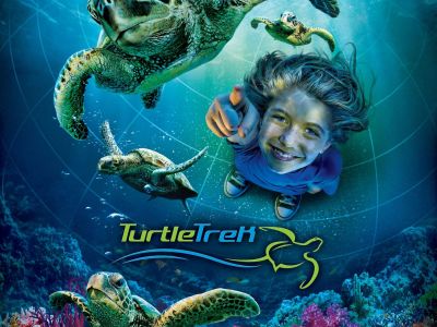 TurtleTrek in SeaWorld Orlando -