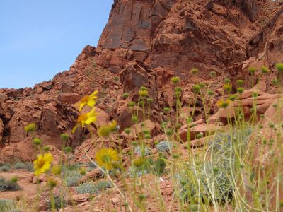 Valley of Fire in Nevada.