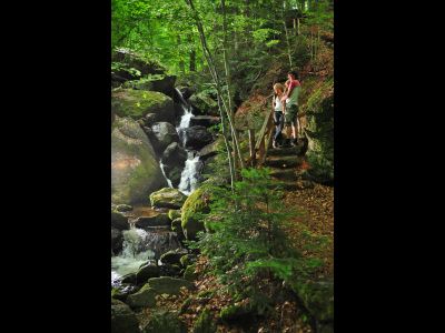 Das idyllische Ysper-Weitental in Niederösterreich.