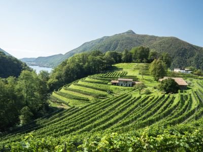 Kultur- und Naturerlebnisse für abwechslungsreiche Ferientage