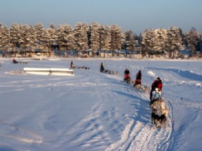 Husky-Safari über den Polarkreis