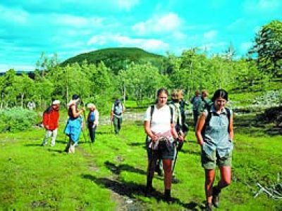 Wandern als perfektes Fitnesstraining