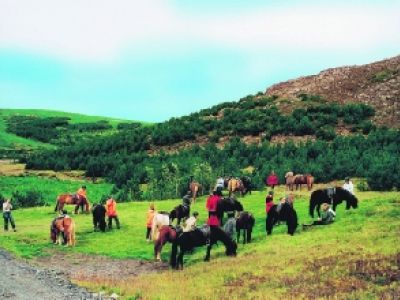 Kurzreise im Norden und Reittrekking auf Islandpferden