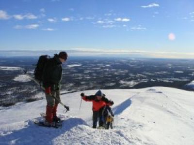 Huskies fühlen sich in Schweden pudelwohl