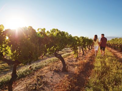 Weingut-Hopping in Queensland