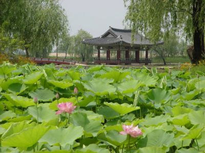 Korea im Sommer