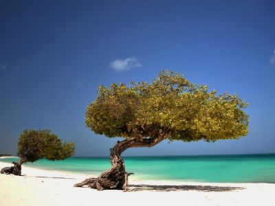 Aruba leichter erreichbar: