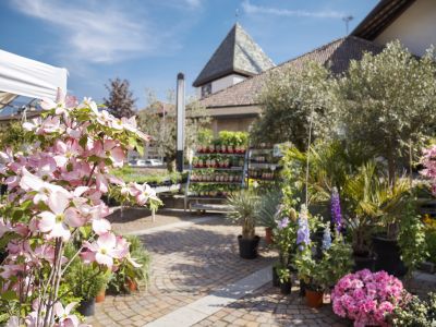 © Christian Gufler Herzlich willkommen beim Merano Flower Festival!