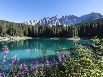 © Eggental Tourismus, Helmut Rier Bergerlebnis Rosengarten