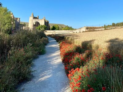 Trekking in der Region Alentejo