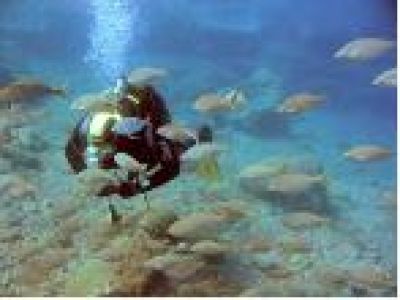Zu Wasser, zu Lande und in der Luft – im Herbst aktiv werden auf Teneriffa