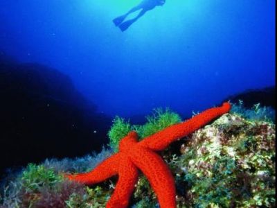 Surfen, Kiten und Tauchen auf Teneriffa