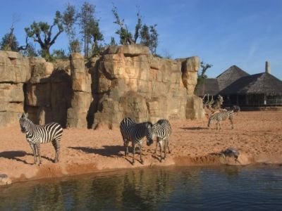Eine halbe Millionen Besucher und 100 Tierbabies