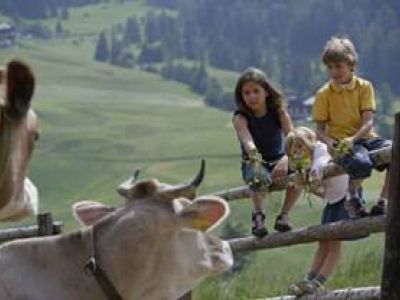 Südtirol spielend erleben