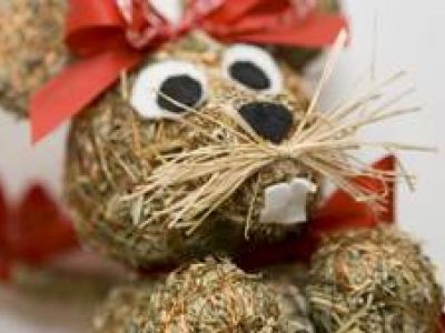 Backen, Basteln, Bratsche spielen