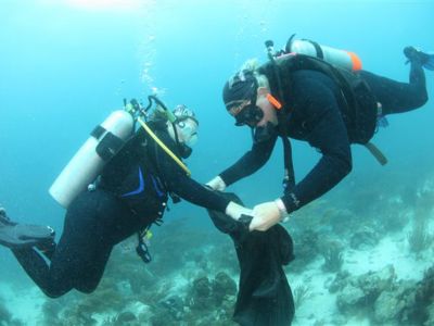 Höchste Teilnehmerzahl seit 15 Jahren beim Aruba Reef Care Project!