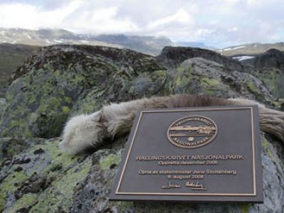 Neuer Nationalpark Hallingskarvet eröffnet