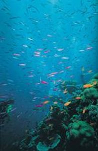 Inseln im Great Barrier Reef