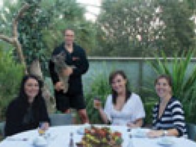 Koalas zum Frühstück