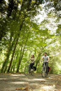 Auf Cycle Wests Radroute Velodyssey Natur pur erleben
